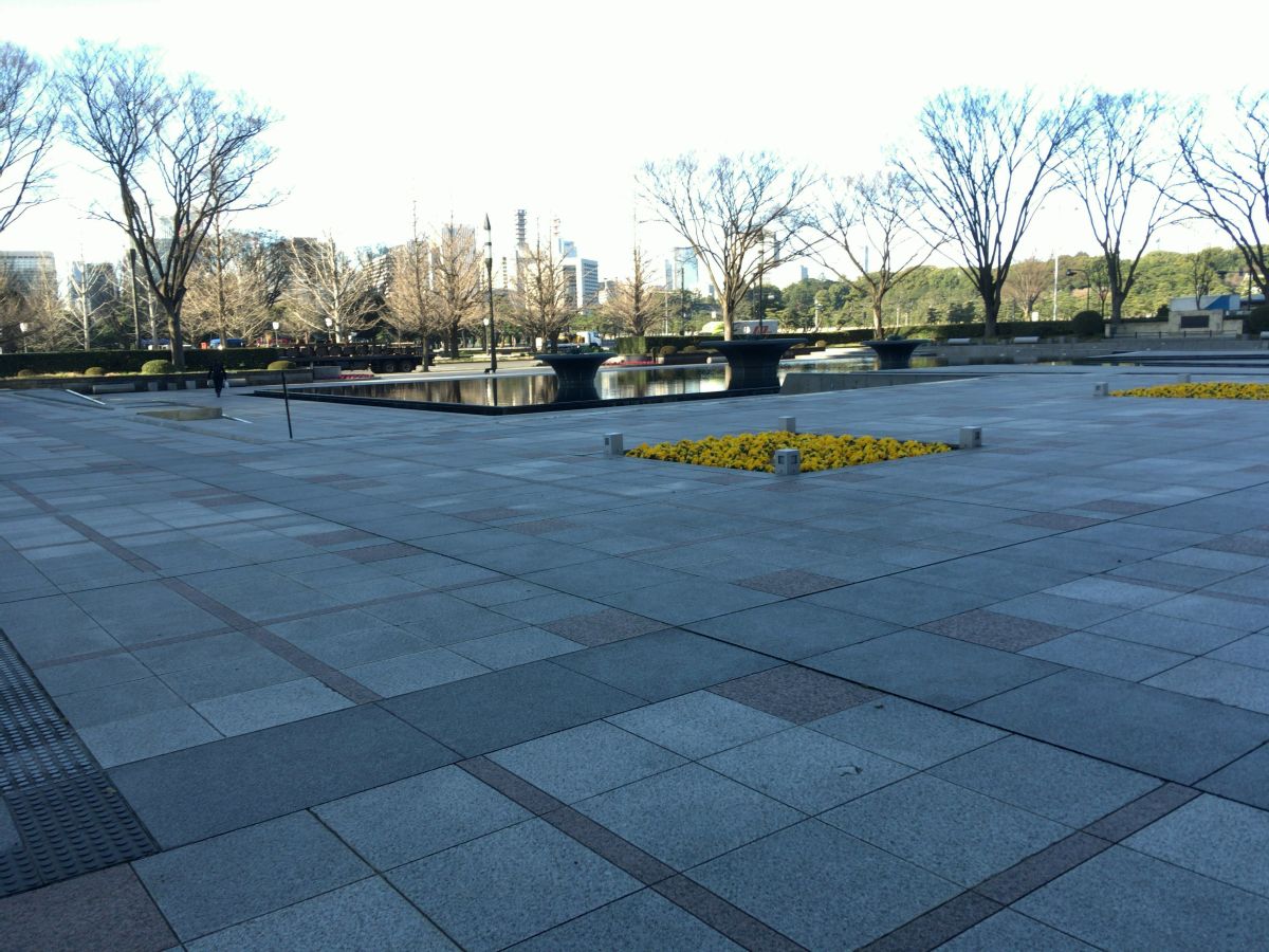 皇居を敷地内で撮影した写真です。奥には枯れた木々があり、手前側にはコンクリートの床が移っています。また、画面中央より少し右上には、黄色い花が少し咲いている区画があります。