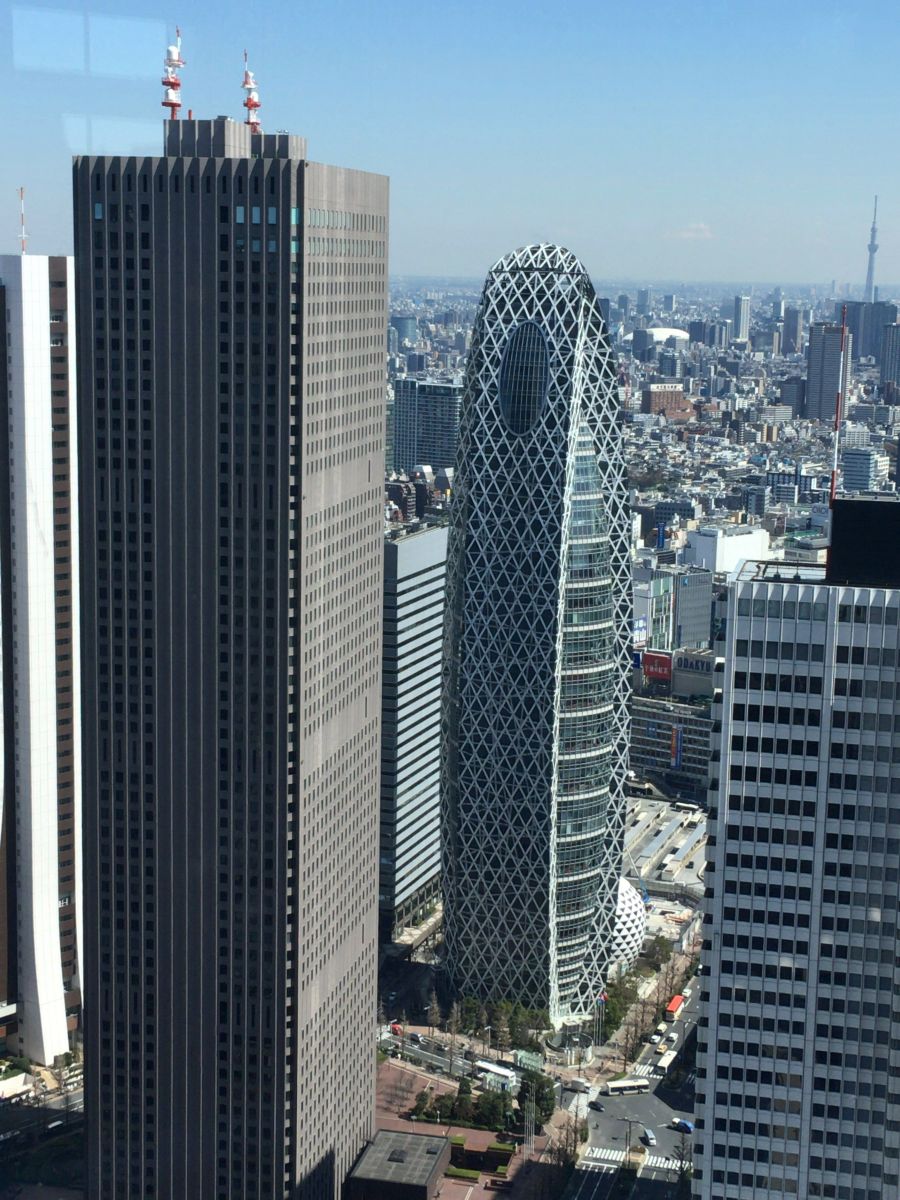 東京都庁から撮影した展望写真です。画像の中央より右にはコクーンタワーと呼ばれる少し流線形の建物があります。